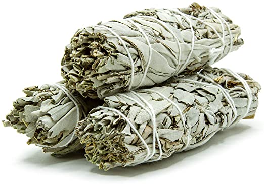 White Sage.jpg
